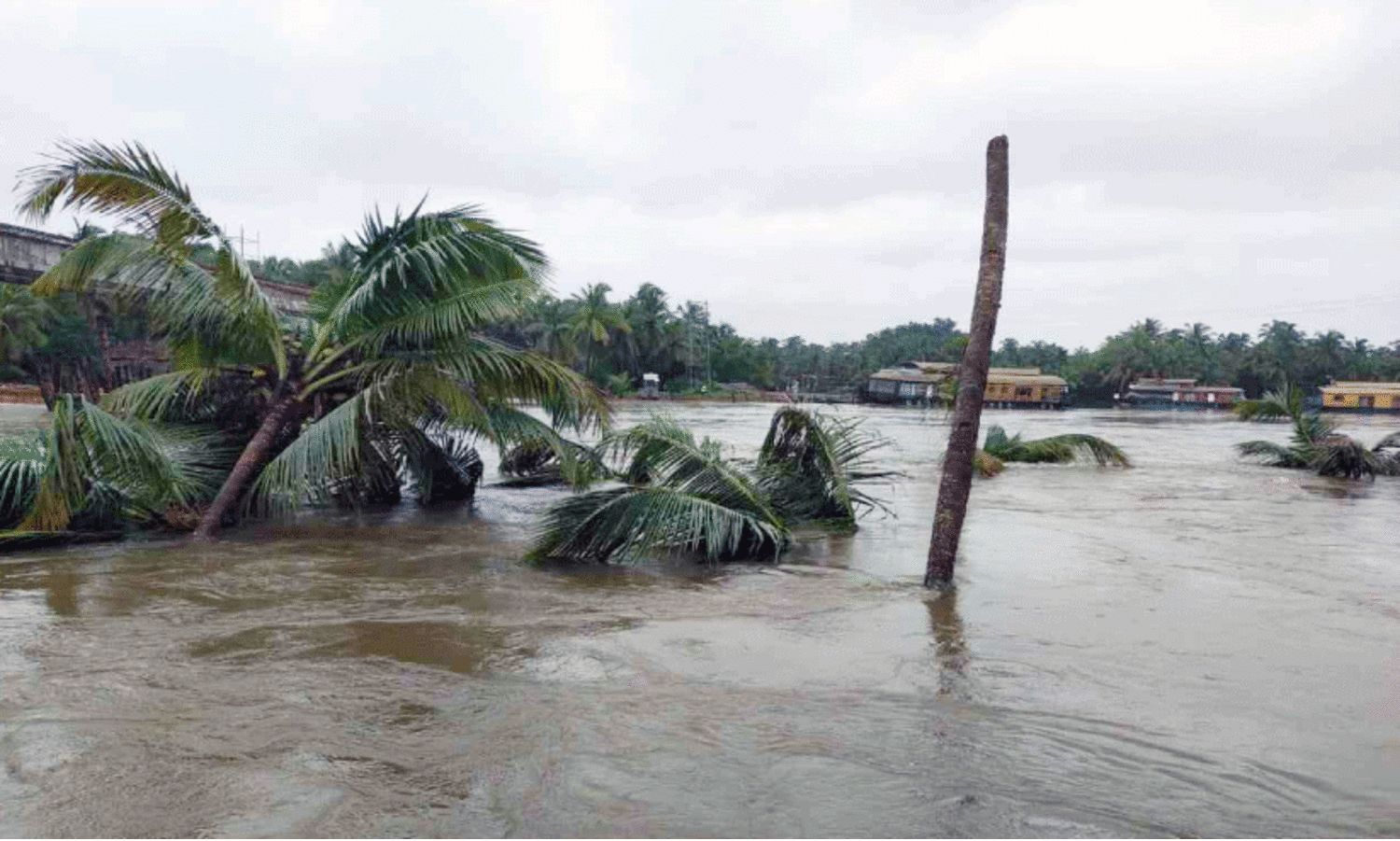 പുഴ ഗതിമാറി ഒഴുകി; വ്യാപക കരയിടിച്ചിൽ