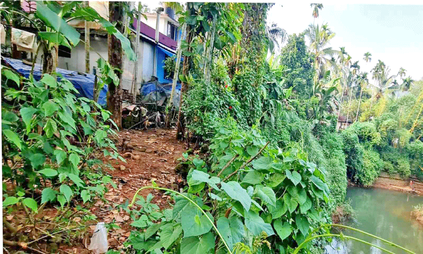 ചെറുപുഴ തീരം ഇടിയുന്നു; കുടുംബങ്ങൾ ഭീതിയിൽ