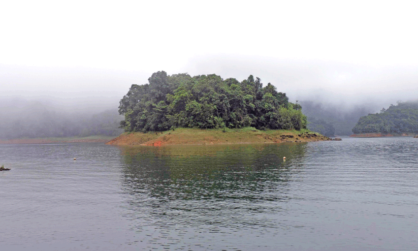 ക​ക്ക​യം ഡാ​മി​ൽ ജ​ല​നി​ര​പ്പ് ഉ​യ​ർ​ന്നു