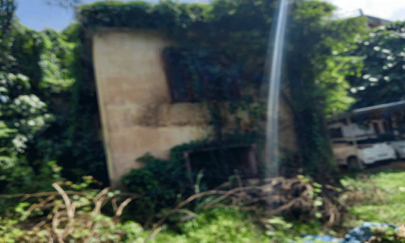 പുനലൂർ ഗവ. പോളിടെക്നിക് കോളജ്; തകർച്ചയിലായ കെട്ടിടം വിദ്യാർഥികൾക്ക് ഭീഷണി പുനലൂർ ഗവ. പോളിടെക്നിക് കോളജ്; തകർച്ചയിലായ കെട്ടിടം വിദ്യാർഥികൾക്ക് ഭീഷണി