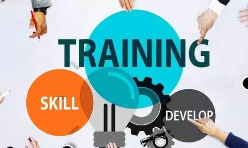 Skills Development