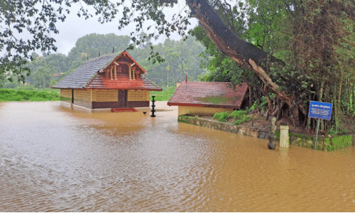 വയനാട്ടിൽ ശ​മ​ന​മി​ല്ലാ​തെ മ​ഴ, 28 വീ​ടു​ക​ള്‍ ത​ക​ര്‍ന്നു, 25 ഏ​ക്ക​ർ കൃ​ഷിനാ​ശം