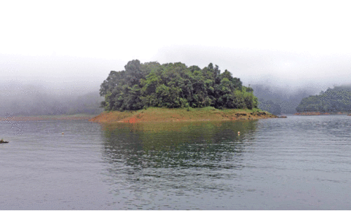 ക​ക്ക​യം ഡാ​മി​ൽ ജ​ല​നി​ര​പ്പ് ഉ​യ​ർ​ന്നു