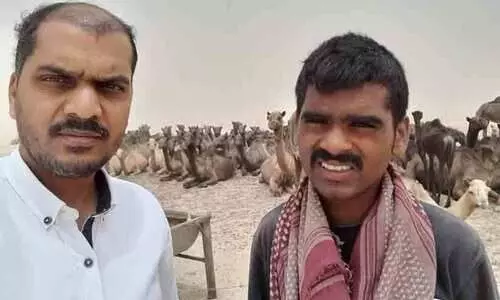 ഒടുങ്ങാതെ ഒട്ടകജീവിതങ്ങൾ: അധ്യാപകനും കൂട്ടുകാരനും നാടണഞ്ഞു