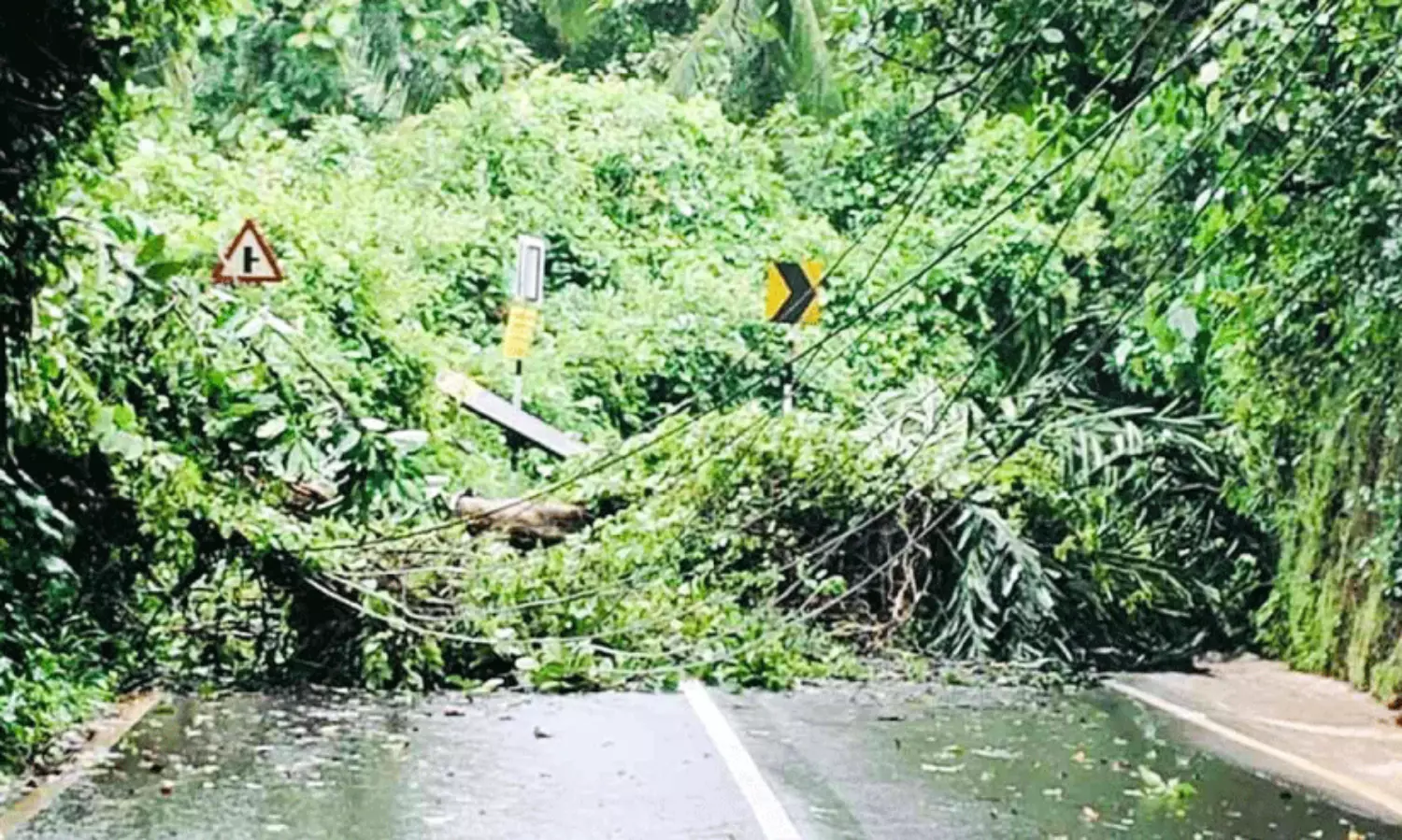 Widespread destruction