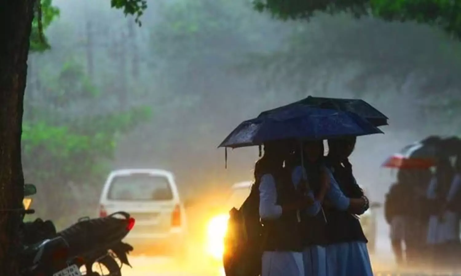 വയനാട്ടിൽ ശനിയാഴ്ചയും വിദ്യാഭ്യാസ സ്ഥാപനങ്ങൾക്ക് അവധി