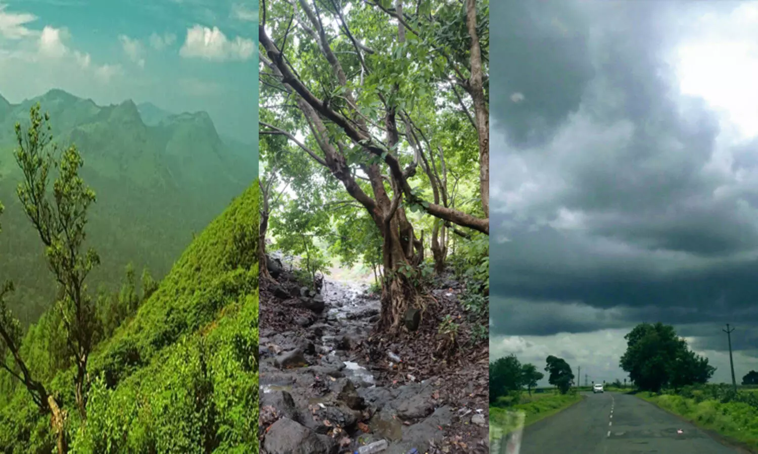 അനന്തഗിരി കുന്നുകളിലേക്ക് ഒരു യാത്ര പോയാലോ...