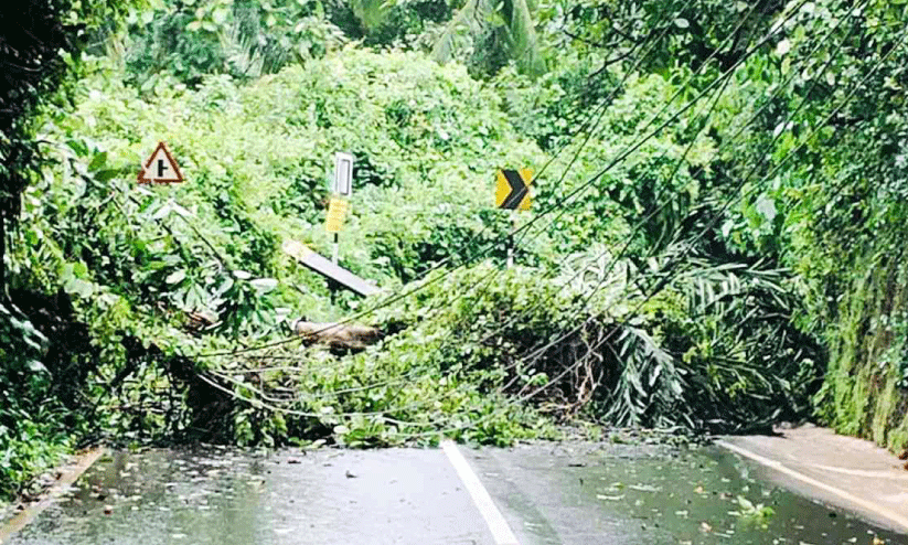 Widespread destruction