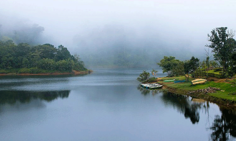അടവി-ഗവി ടൂർ പാക്കേജ്​ കട്ടപ്പുറത്തേക്ക്