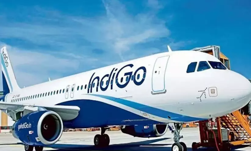 indigo
