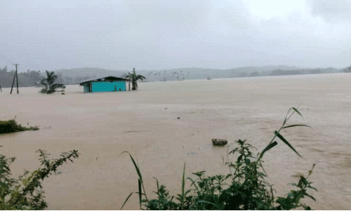 ക​ന​ത്ത മ​ഴ; കൂ​ടു​ത​ൽ നാ​ശ​ന​ഷ്ടം മാ​ന​ന്ത​വാ​ടി താ​ലൂ​ക്കി​ൽ