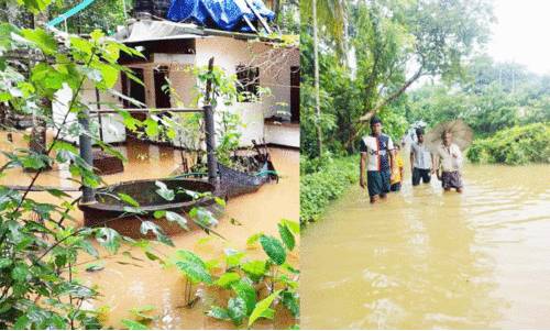 കനത്തമഴ; ഒഴിയാതെ ദുരിതം