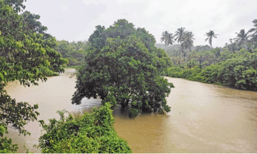 ക​ര​ക​വി​ഞ്ഞ് രാ​മ​ൻ​പു​ഴ; വീ​ടു​ക​ൾ വെ​ള്ള​പ്പൊ​ക്ക ഭീ​ഷ​ണി​യി​ൽ