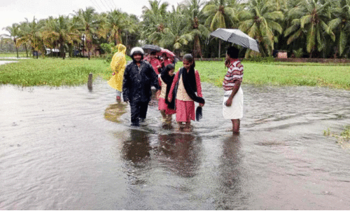 പെരുമഴയിരമ്പം