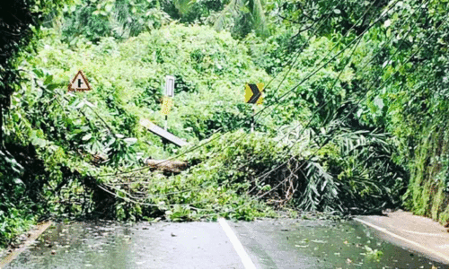 Widespread destruction