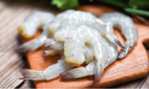 ഇന്ത്യൻ ചെമ്മീന് യു.എസ്​ നിരോധനം; പ്രതിഷേധം ശക്തം