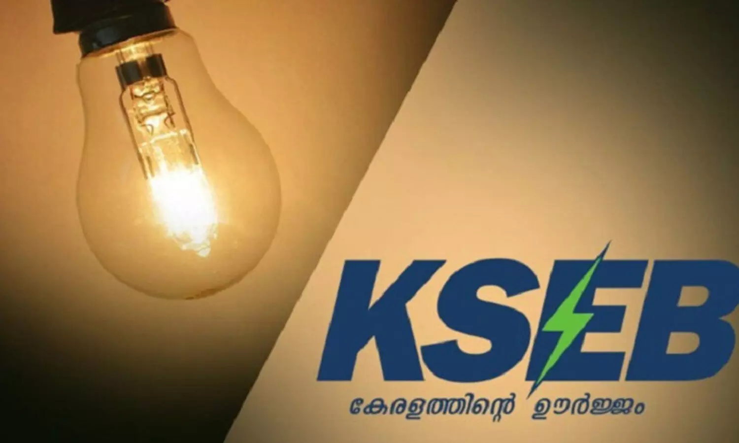 നാടിനെ ഇരുട്ടിലാക്കിയ സംഭവത്തിൽ ഒരാൾ അറസ്റ്റിൽ; കൂട്ടുപ്രതിയായ കെ.എസ്.ഇ.ബി ജീവനക്കാരനായി അന്വേഷണം തുടങ്ങി