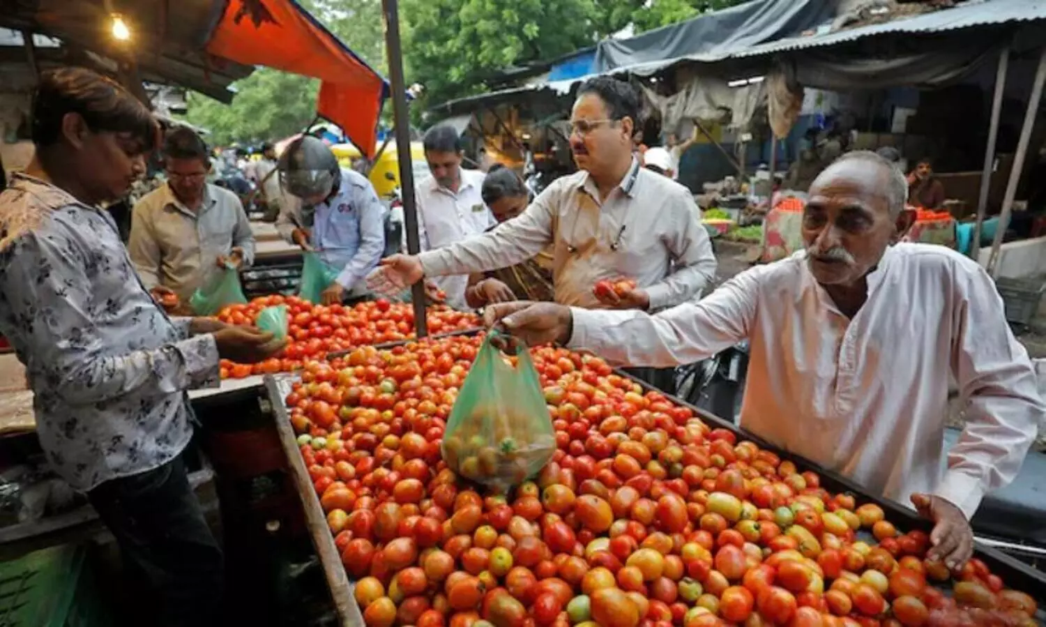 മഴയിൽ പച്ചക്കറി വിതരണം നിലച്ചു; ഡൽഹിയിൽ ‘സെഞ്ച്വറി’ തൊട്ട് തക്കാളി വില