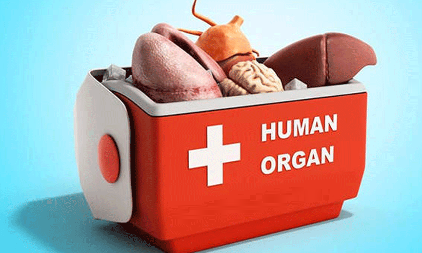 മനുഷ്യക്കടത്തിലൂടെ അവയവക്കച്ചവടം: പ്രവർത്തനം മണി ചെയിൻ മാതൃകയിൽ