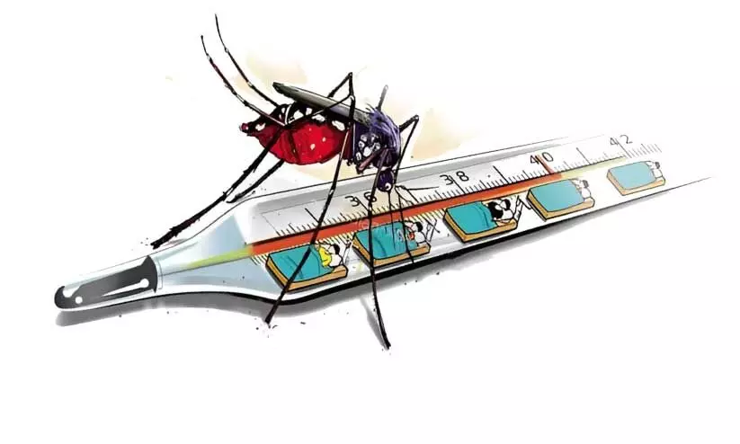 കൊതുകുജന്യരോഗങ്ങള്‍: ജാഗ്രത വേണം