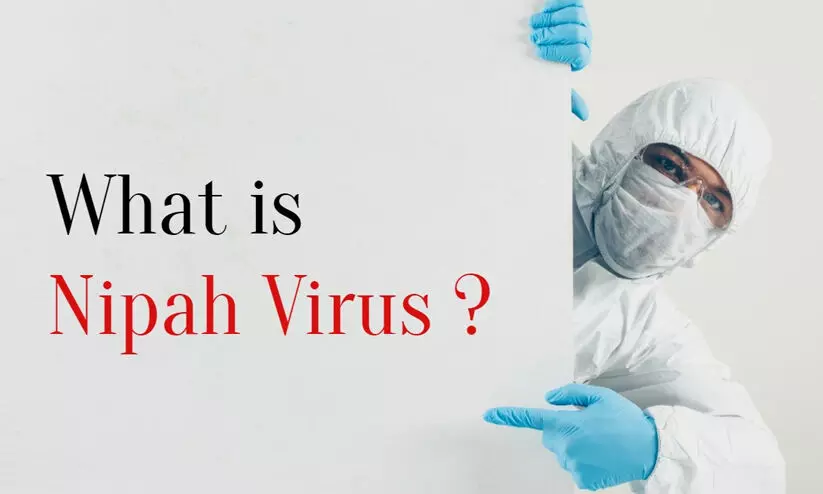 Nipah Virus