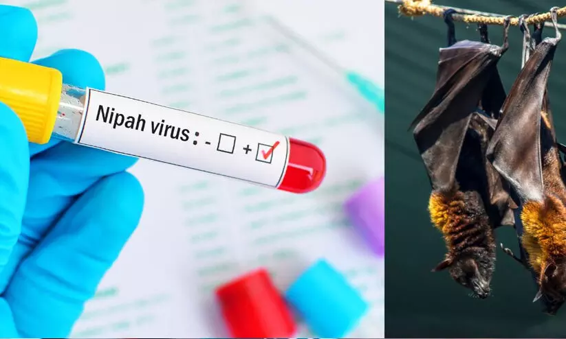 പരിശോധനയുമായി  വീണ്ടും മൃഗസംരക്ഷണ വകുപ്പ്​