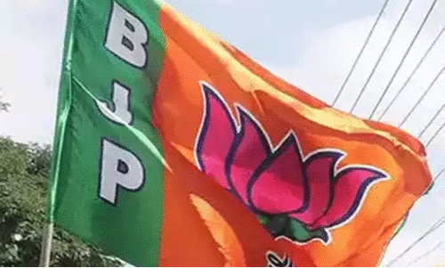 പാലക്കാട്​ ഉപതെരഞ്ഞെടുപ്പിൽ ജയം ഉറപ്പാക്കണമെന്ന്​ എൻ.ഡി.എ നേതൃയോഗം