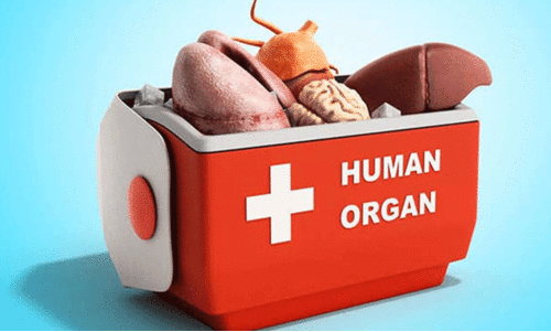 മനുഷ്യക്കടത്തിലൂടെ അവയവക്കച്ചവടം: പ്രവർത്തനം മണി ചെയിൻ മാതൃകയിൽ