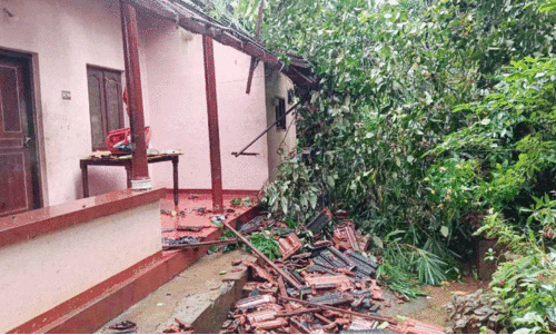 മ​ഴ കു​റ​ഞ്ഞു; ചു​ഴ​ലി​ക്കാ​റ്റി​ൽ നാ​ശ​ന​ഷ്ടം