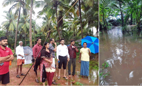 തോരാമഴ...