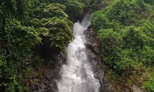 കണ്ണൂരിൽ മൂന്നര വയസ്സുകാരന് അമീബിക് മസ്തിഷ്കജ്വരം: കാരക്കുണ്ട് വെള്ളച്ചാട്ടത്തിലേക്കുള്ള പ്രവേശനം നിരോധിച്ചു