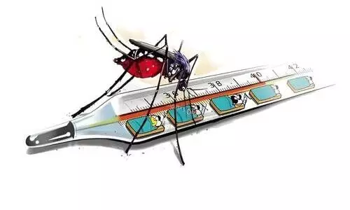 കൊതുകുജന്യരോഗങ്ങള്: ജാഗ്രത വേണം കൊതുകുജന്യരോഗങ്ങള്: ജാഗ്രത വേണം