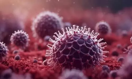 14 കാരന് നിപ ബാധിച്ചതായി സംശയം; കോഴിക്കോട് മെഡിക്കൽ കോളജ് വൈറോളജി ലാബിലെ ഫലം പോസിറ്റീവ് 14 കാരന് നിപ ബാധിച്ചതായി സംശയം; കോഴിക്കോട് മെഡിക്കൽ കോളജ് വൈറോളജി ലാബിലെ ഫലം പോസിറ്റീവ്