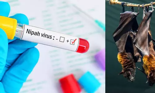 പരിശോധനയുമായി  വീണ്ടും മൃഗസംരക്ഷണ വകുപ്പ്​