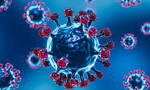 ആശങ്കയുടെ വൈറസ് സംസ്ഥാനത്ത് അഞ്ചാം തവണ; അതിജീവനം ആത്മവിശ്വാസത്തോടെ