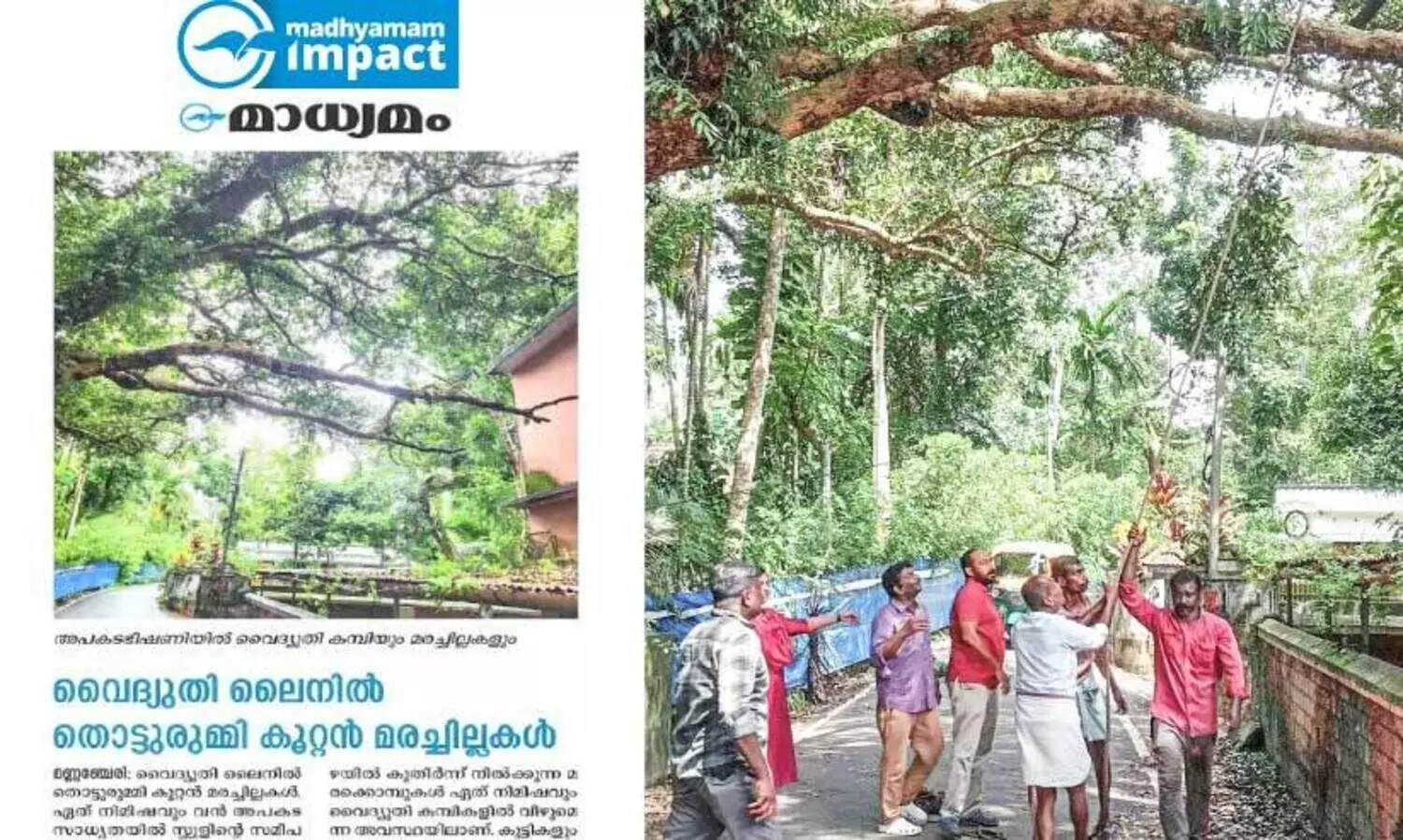 cutting the branches of tree