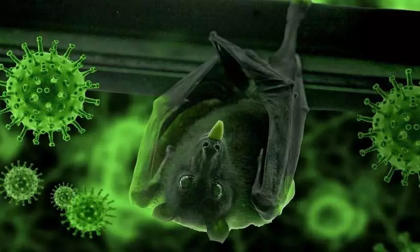 പലതവണ വന്ന രോഗം; ജാഗ്രതയിലൂടെ അതിജീവിച്ചു പലതവണ വന്ന രോഗം; ജാഗ്രതയിലൂടെ അതിജീവിച്ചു