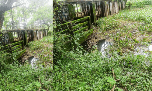 കിഴുപ്പിള്ളിക്കര ​ത്രിവേണിയിൽ മുഴുവൻ ഷട്ടറുകളും തുറന്നില്ല; നിരവധി വീടുകൾ വെള്ളത്തിൽ