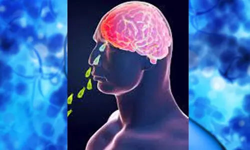 അമീബിക്ക് മെനിഞ്ചോ എന്‍സെഫലൈറ്റിസ് മാര്‍ഗരേഖ പുറത്തിറക്കി; ഇന്ത്യയില്‍ ആദ്യം