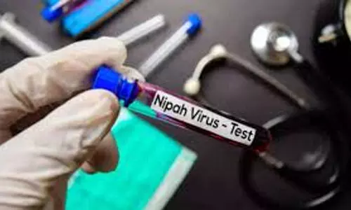 നിപ: ഒമ്പത് സാമ്പിളുകൾ നെഗറ്റിവ്, സമ്പർക്ക പട്ടികയിൽ 406 പേർ നിപ: ഒമ്പത് സാമ്പിളുകൾ നെഗറ്റിവ്, സമ്പർക്ക പട്ടികയിൽ 406 പേർ