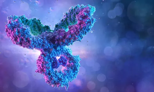 നിപ: അതിര്‍ത്തി ചെക്ക് പോസ്റ്റുകളില്‍ പരിശോധന കര്‍ശനമാക്കി