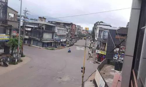 നിപ: വിജനം, നിശ്ചലം...