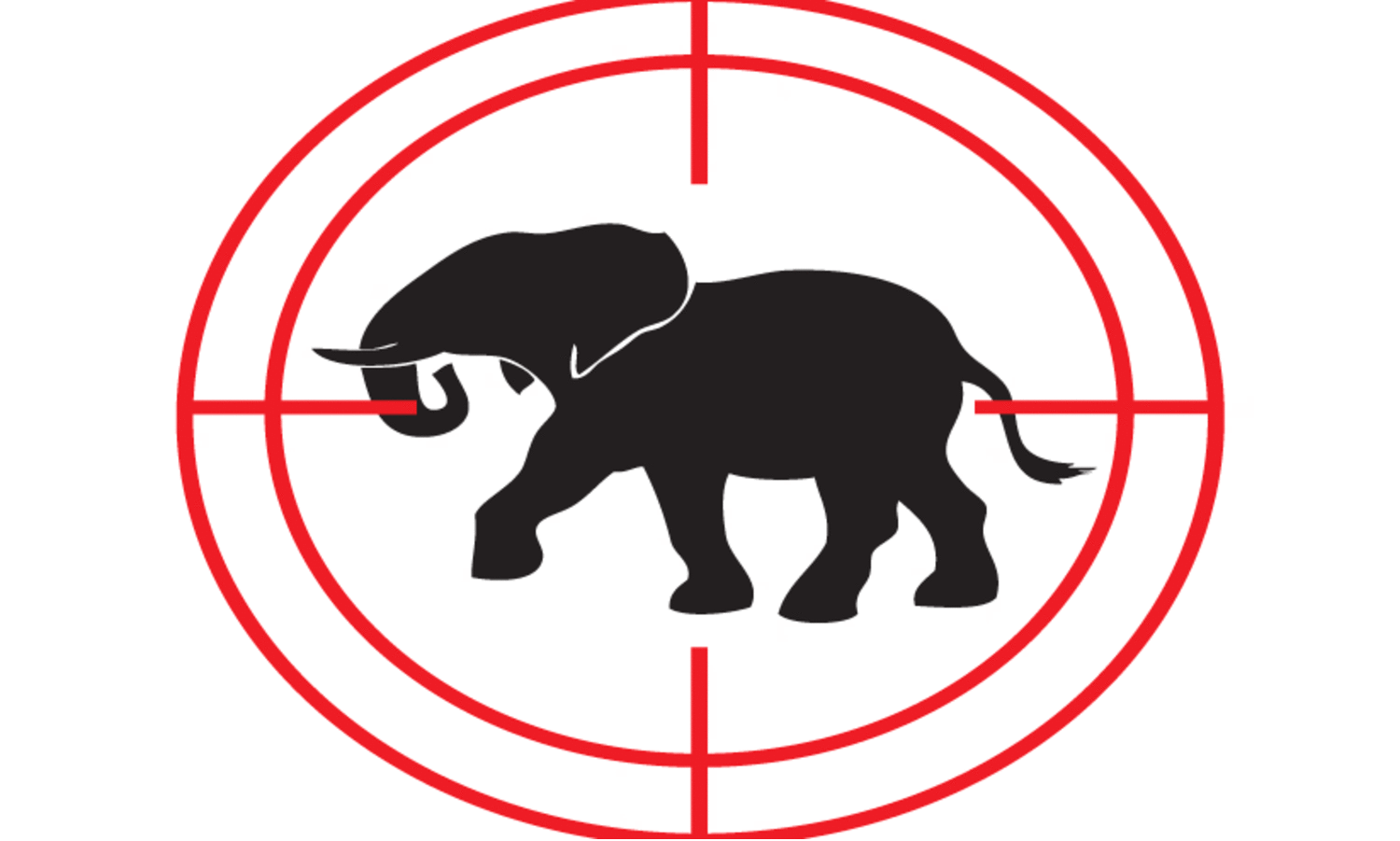 Wild elephant attack