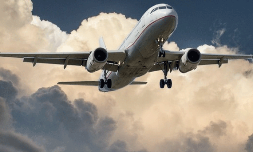 flight service flight service