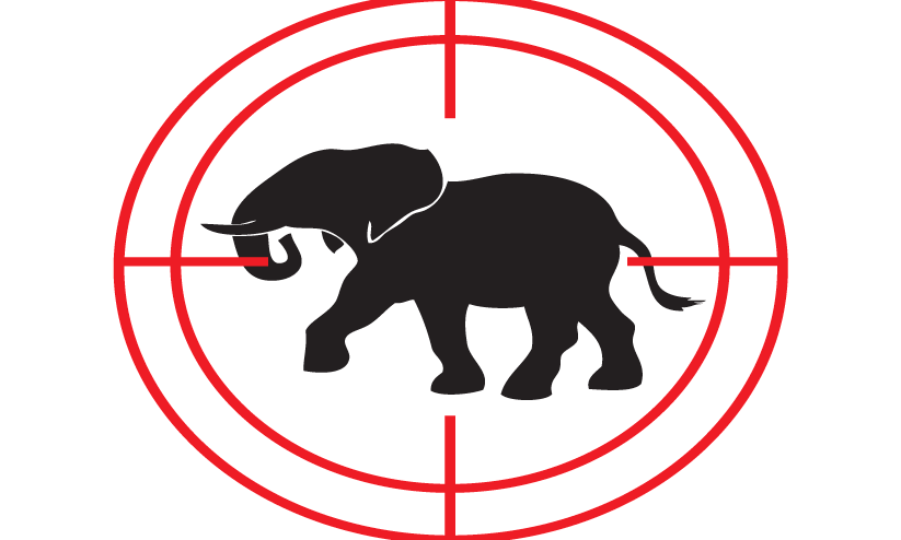 Wild elephant attack