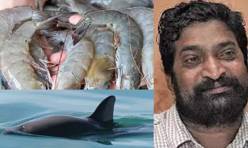 കടലാമയ്ക്കു പിന്നാലെ സസ്തനികളുടെ പേരിലും നിരോധനം വരുന്നു