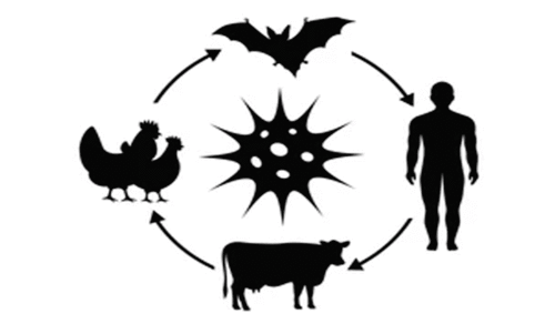 zoonotic diseases
