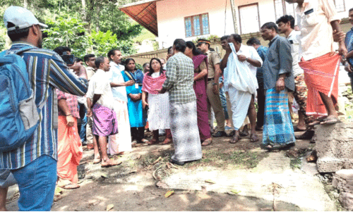 First Lady Collector,