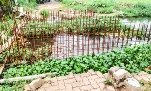 Bridge reconstruction,