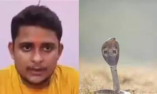 എല്ലാ ശനിയാഴ്ചയും പാമ്പ് കടിക്കുന്നുവെന്ന് യുവാവ്; ഒടുവിൽ സത്യം കണ്ടെത്തി